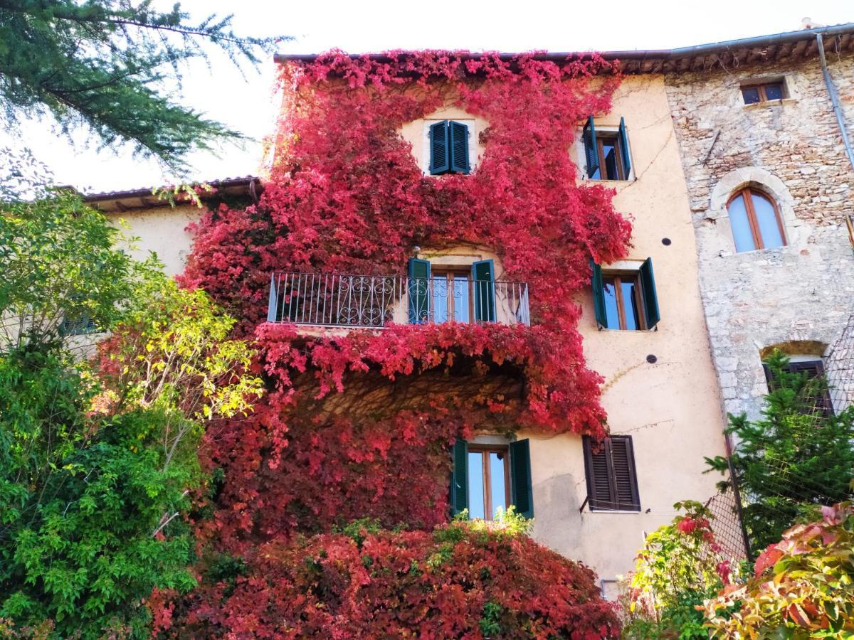 La Torre Del Cerreto Cerreto di Spoleto Exterior foto